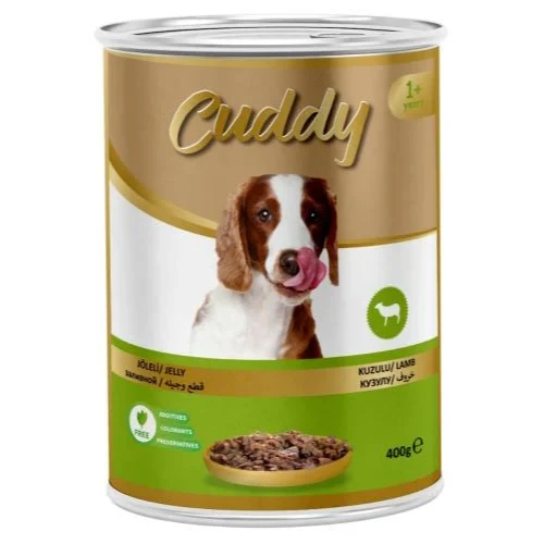 wet food